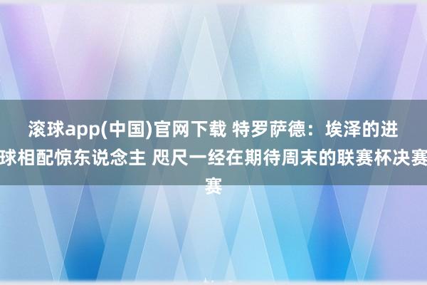 滚球app(中国)官网下载 特罗萨德：埃泽的进球相配惊东说念主 咫尺一经在期待周末的联赛杯决赛