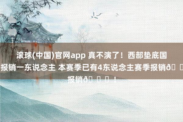 滚球(中国)官网app 真不演了！西部垫底国王再报销一东说念主 本赛季已有4东说念主赛季报销👀！