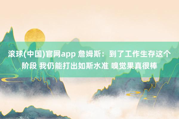 滚球(中国)官网app 詹姆斯：到了工作生存这个阶段 我仍能打出如斯水准 嗅觉果真很棒
