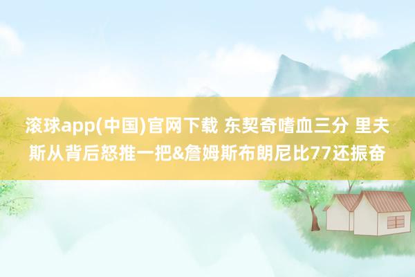 滚球app(中国)官网下载 东契奇嗜血三分 里夫斯从背后怒推一把&詹姆斯布朗尼比77还振奋
