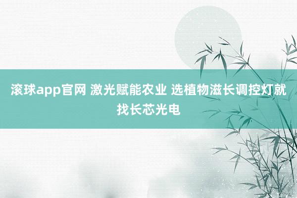滚球app官网 激光赋能农业 选植物滋长调控灯就找长芯光电