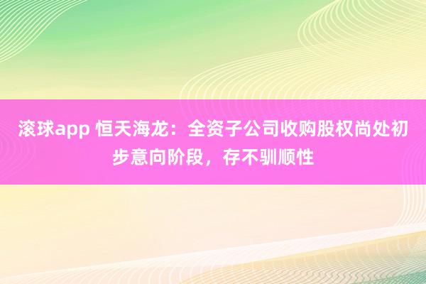 滚球app 恒天海龙：全资子公司收购股权尚处初步意向阶段，存不驯顺性