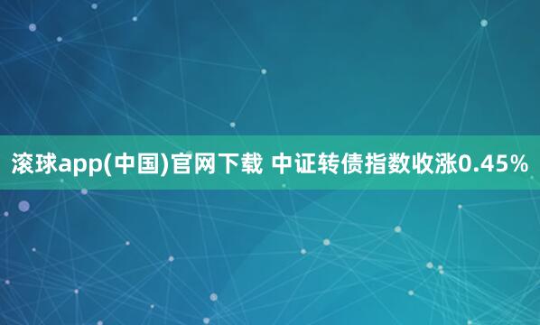 滚球app(中国)官网下载 中证转债指数收涨0.45%