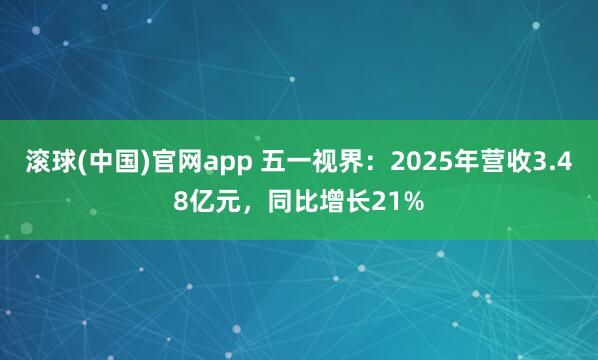 滚球(中国)官网app 五一视界：2025年营收3.48亿元，同比增长21%