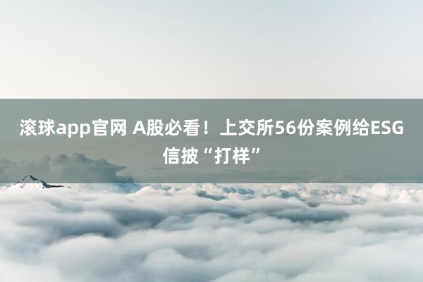 滚球app官网 A股必看！上交所56份案例给ESG信披“打样”
