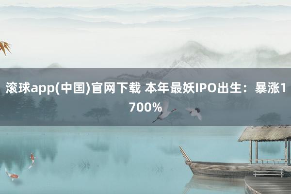 滚球app(中国)官网下载 本年最妖IPO出生：暴涨1700%
