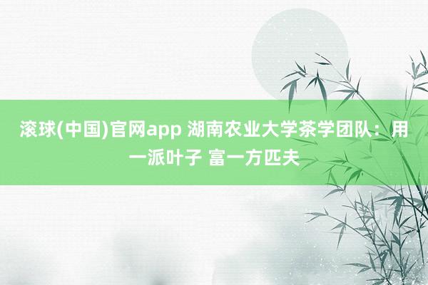 滚球(中国)官网app 湖南农业大学茶学团队：用一派叶子 富一方匹夫