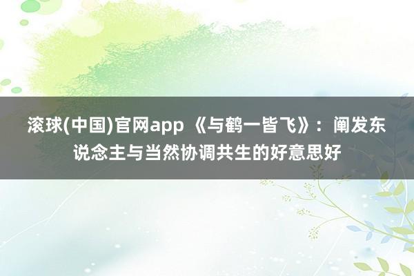 滚球(中国)官网app 《与鹤一皆飞》：阐发东说念主与当然协调共生的好意思好