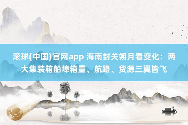 滚球(中国)官网app 海南封关朔月看变化：两大集装箱船埠箱量、航路、货源三翼皆飞