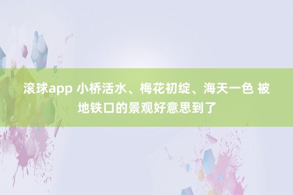 滚球app 小桥活水、梅花初绽、海天一色 被地铁口的景观好意思到了