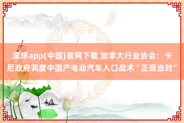 滚球app(中国)官网下载 加拿大行业协会：卡尼政府调度中国产电动汽车入口战术“正派当时”