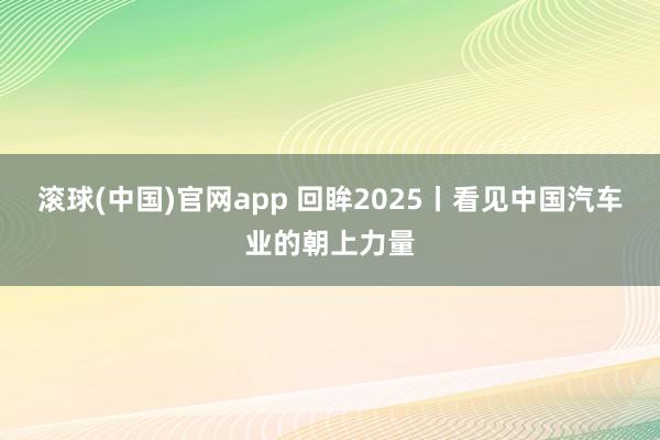 滚球(中国)官网app 回眸2025丨看见中国汽车业的朝上力量