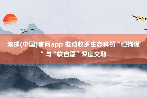 滚球(中国)官网app 推动收罗生态科罚“硬拘谨”与“软自愿”深度交融
