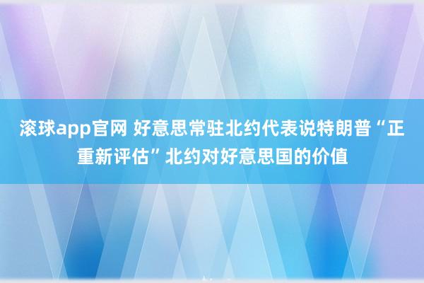 滚球app官网 好意思常驻北约代表说特朗普“正重新评估”北约对好意思国的价值