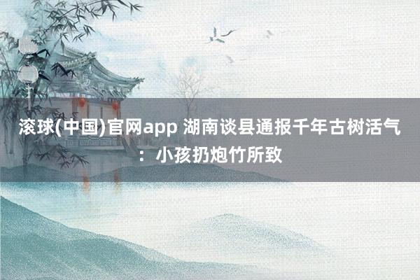滚球(中国)官网app 湖南谈县通报千年古树活气：小孩扔炮竹所致