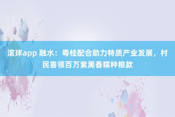 滚球app 融水：粤桂配合助力特质产业发展，村民喜领百万紫黑香糯种粮款