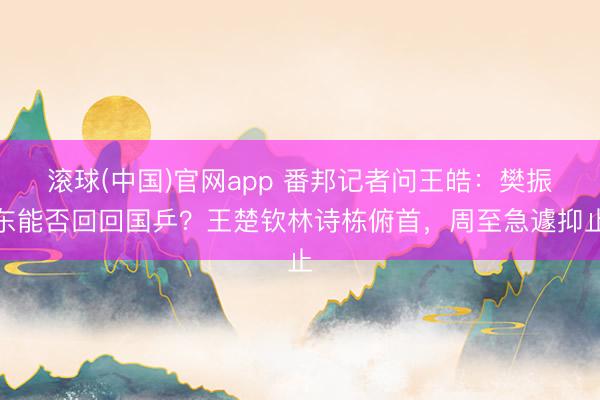 滚球(中国)官网app 番邦记者问王皓：樊振东能否回回国乒？王楚钦林诗栋俯首，周至急遽抑止
