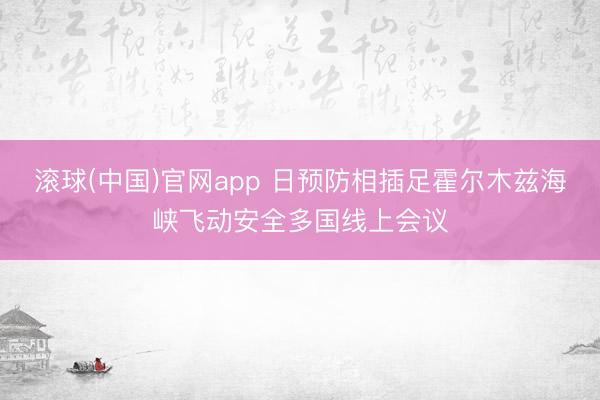 滚球(中国)官网app 日预防相插足霍尔木兹海峡飞动安全多国线上会议