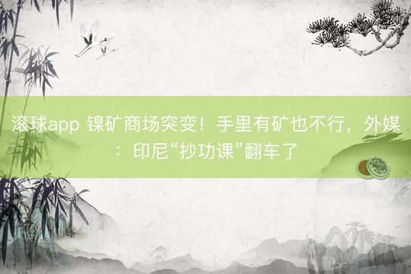 滚球app 镍矿商场突变！手里有矿也不行，外媒：印尼“抄功课”翻车了