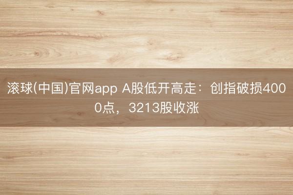 滚球(中国)官网app A股低开高走：创指破损4000点，3213股收涨