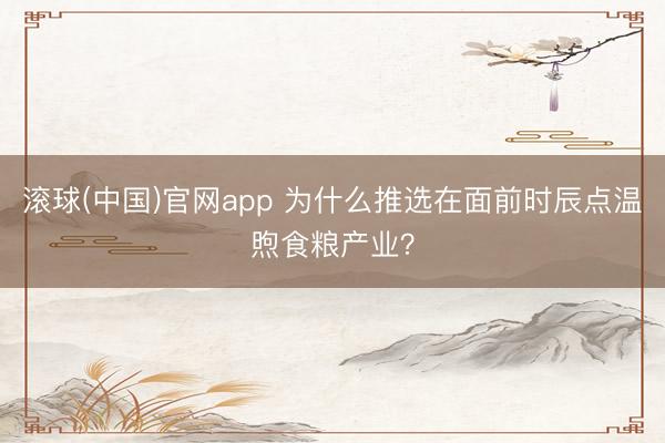 滚球(中国)官网app 为什么推选在面前时辰点温煦食粮产业？
