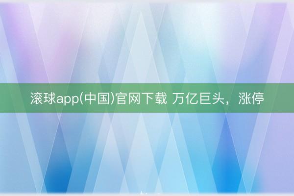 滚球app(中国)官网下载 万亿巨头，涨停