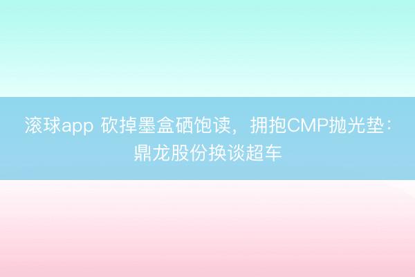 滚球app 砍掉墨盒硒饱读，拥抱CMP抛光垫：鼎龙股份换谈超车