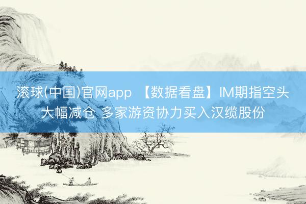 滚球(中国)官网app 【数据看盘】IM期指空头大幅减仓 多家游资协力买入汉缆股份