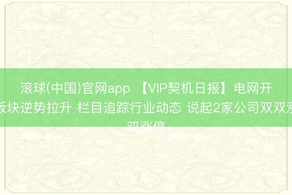 滚球(中国)官网app 【VIP契机日报】电网开辟板块逆势拉升 栏目追踪行业动态 说起2家公司双双涨停
