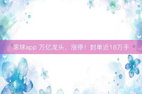 滚球app 万亿龙头，涨停！封单近18万手