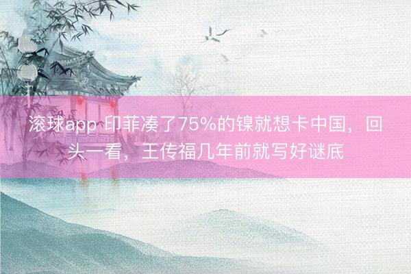 滚球app 印菲凑了75%的镍就想卡中国，回头一看，王传福几年前就写好谜底