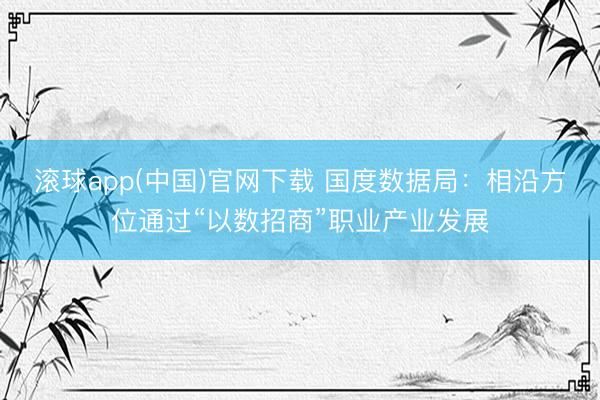 滚球app(中国)官网下载 国度数据局：相沿方位通过“以数招商”职业产业发展