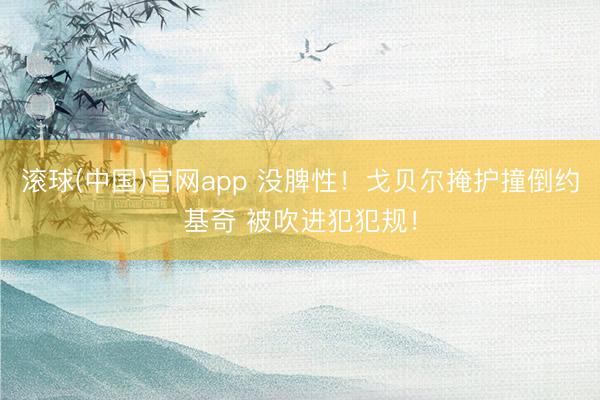 滚球(中国)官网app 没脾性！戈贝尔掩护撞倒约基奇 被吹进犯犯规！