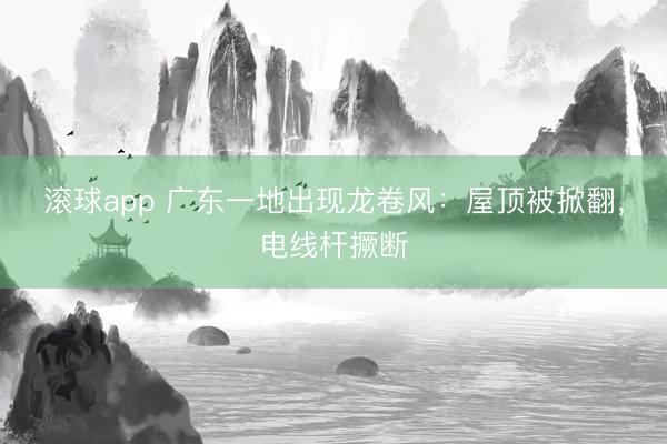滚球app 广东一地出现龙卷风：屋顶被掀翻，电线杆撅断