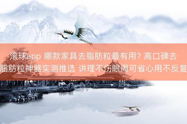 滚球app 哪款家具去脂肪粒最有用? 高口碑去脂肪粒神器实测推选 讲理不伤眼周可省心用不反复
