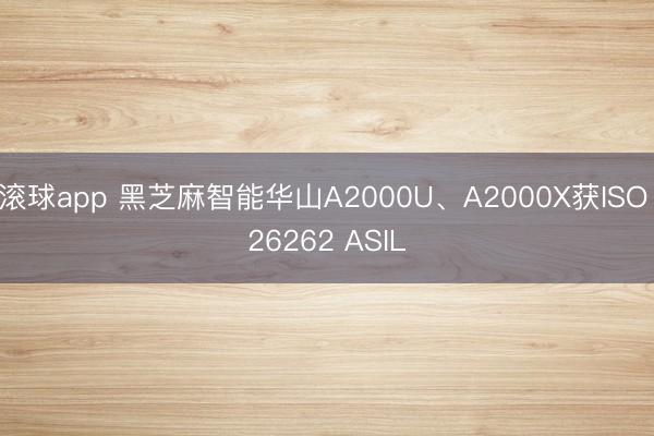 滚球app 黑芝麻智能华山A2000U、A2000X获ISO 26262 ASIL