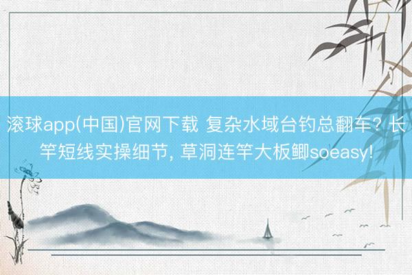 滚球app(中国)官网下载 复杂水域台钓总翻车? 长竿短线实操细节， 草洞连竿大板鲫soeasy!
