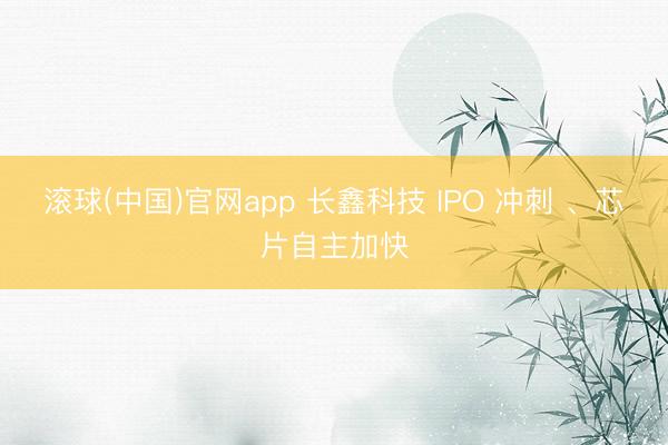 滚球(中国)官网app 长鑫科技 IPO 冲刺 、芯片自主加快