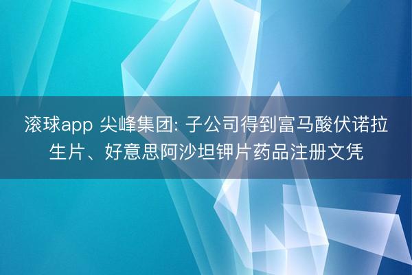 滚球app 尖峰集团: 子公司得到富马酸伏诺拉生片、好意思阿沙坦钾片药品注册文凭