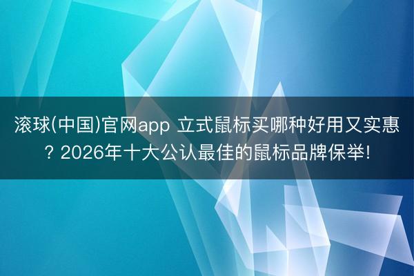 滚球(中国)官网app 立式鼠标买哪种好用又实惠? 2026年十大公认最佳的鼠标品牌保举!