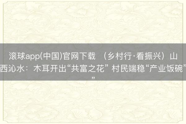 滚球app(中国)官网下载 (乡村行·看振兴)山西沁水:木耳开出“共富之花” 村民端稳“产业饭碗”