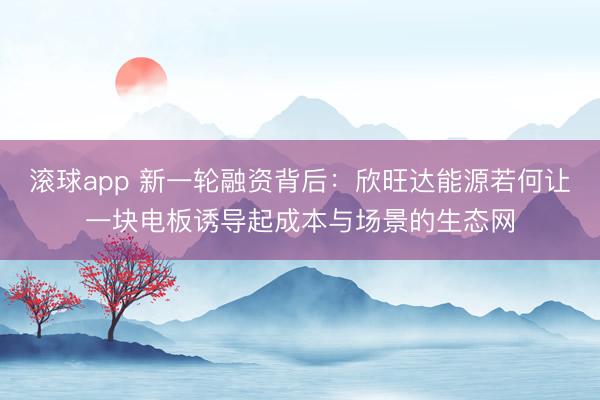 滚球app 新一轮融资背后：欣旺达能源若何让一块电板诱导起成本与场景的生态网