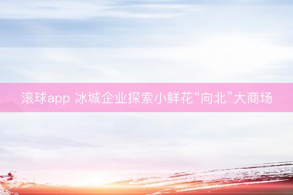 滚球app 冰城企业探索小鲜花“向北”大商场