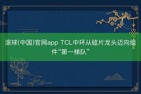 滚球(中国)官网app TCL中环从硅片龙头迈向组件“第一梯队”