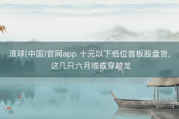 滚球(中国)官网app 十元以下低位首板股盘货， 这几只六月或成穿越龙