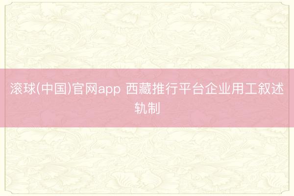 滚球(中国)官网app 西藏推行平台企业用工叙述轨制