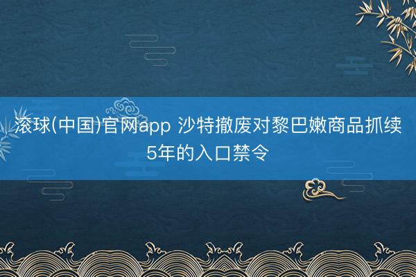 滚球(中国)官网app 沙特撤废对黎巴嫩商品抓续5年的入口禁令