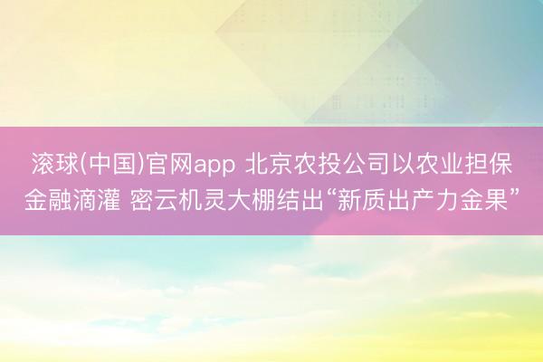 滚球(中国)官网app 北京农投公司以农业担保金融滴灌 密云机灵大棚结出“新质出产力金果”