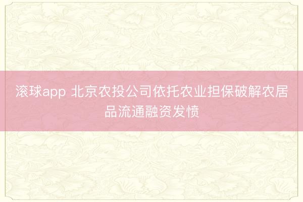 滚球app 北京农投公司依托农业担保破解农居品流通融资发愤