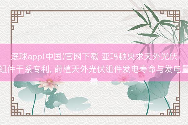 滚球app(中国)官网下载 亚玛顿央求天外光伏组件干系专利， 莳植天外光伏组件发电寿命与发电量